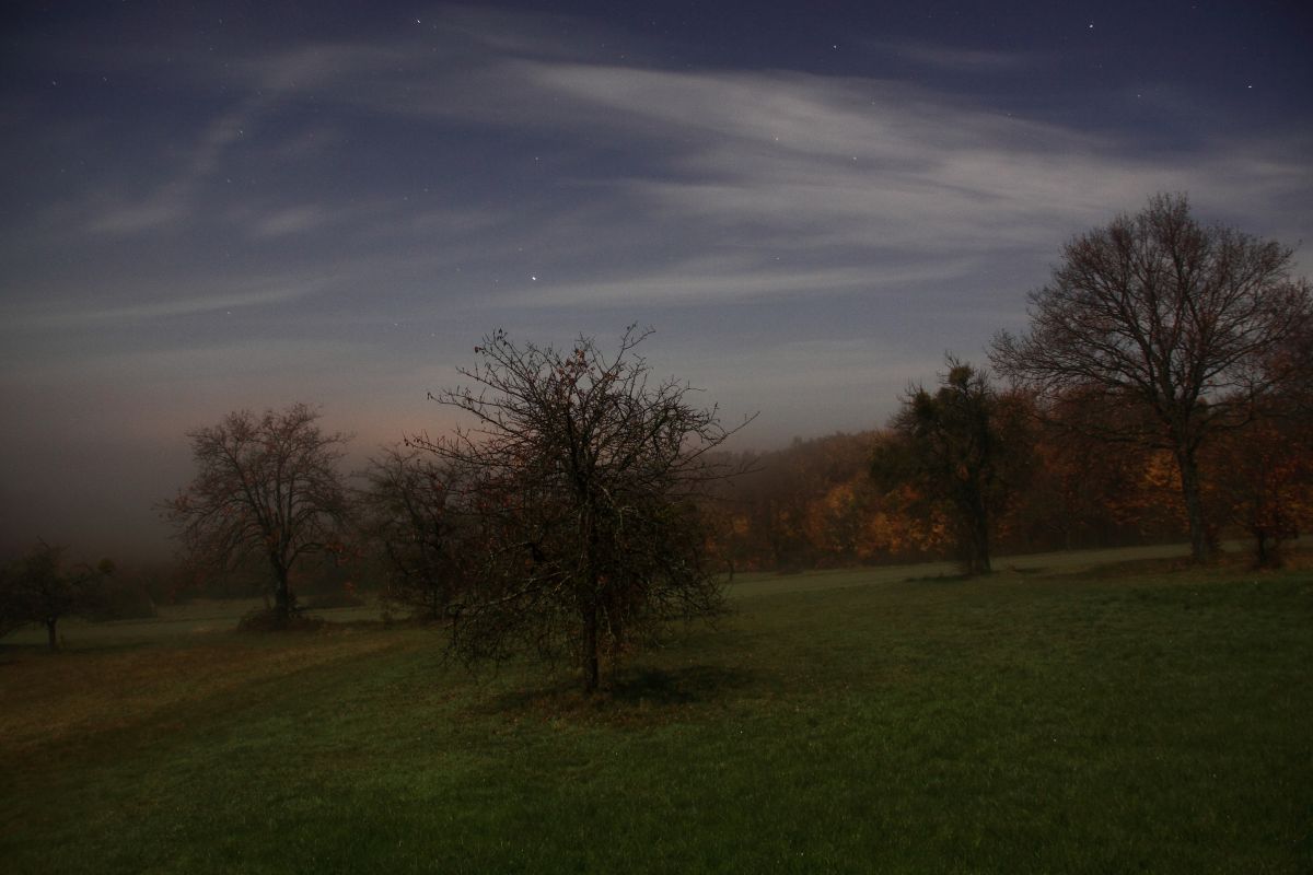 Nuit féérique.jpg